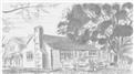 Most Sketches Of People, Pets, And Buildings Drawn In One Year